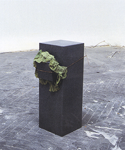 Fig 15 'Untitled Eating Structure', Giovanni Anselmo, 1968