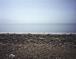 Fig 7 'Walking Motion 2' Monmouth, james hankey, 06